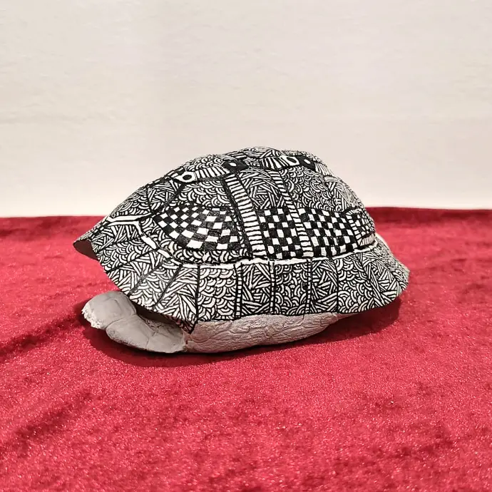 Carapace de tortue