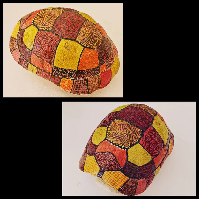 Carapace de tortue